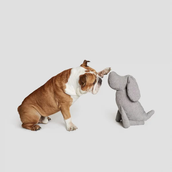 CLOUD7 - Decoratieve hond Johan Tweed Grijs - Afbeelding 2