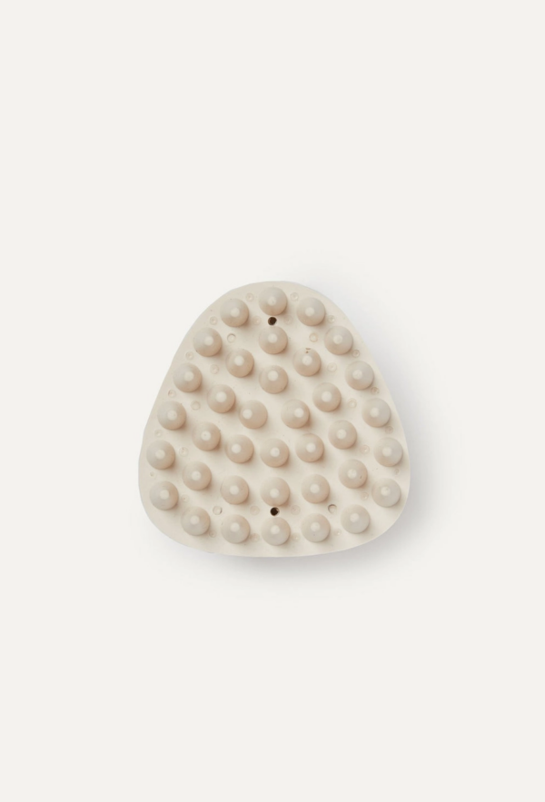 MAXBONE - Coat Therapy Brush