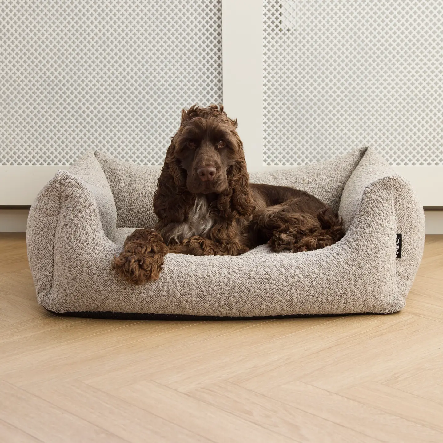 Nordog Billy Bouclé Hondenmand