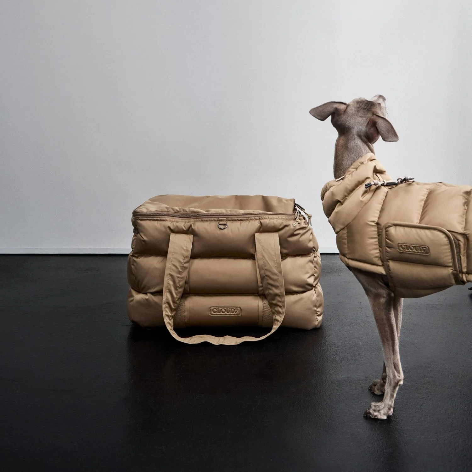 Dogs&Co Cloud7 hondendraagtas Montreal sandy brown voor kleine honden