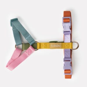 Furlou regenboog tuigje