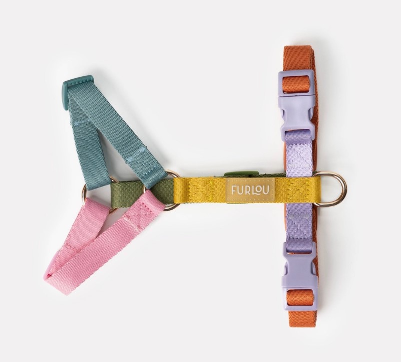 Furlou regenboog tuigje