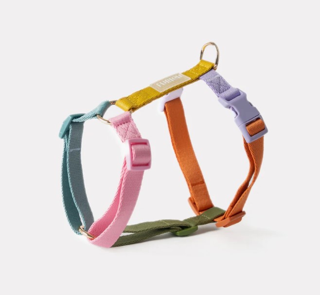 Furlou regenboog tuigje
