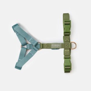 FURLOU - Verstelbaar hondentuig Blue and Green
