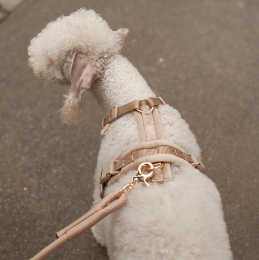 FURLOU fluwelen hondentuig zand verstelbaar voor honden